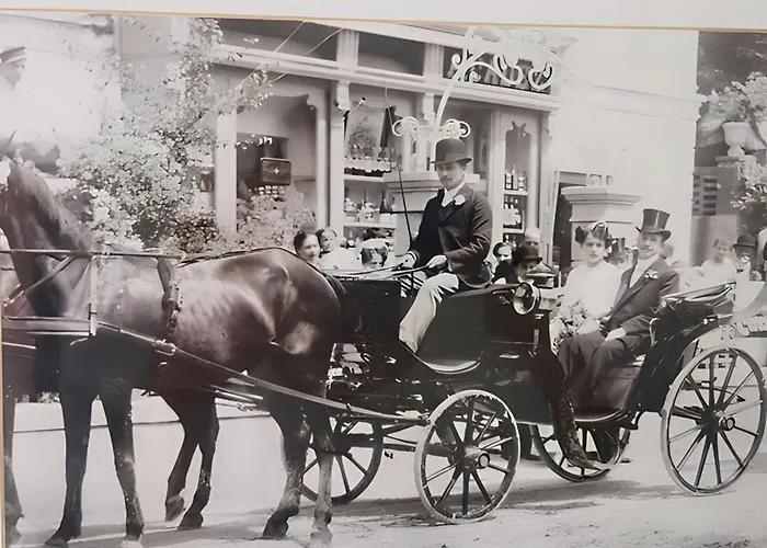 Elegance - 